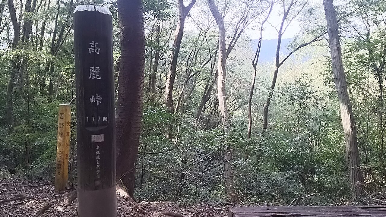 雑木林の中に立つ高麗峠の道標